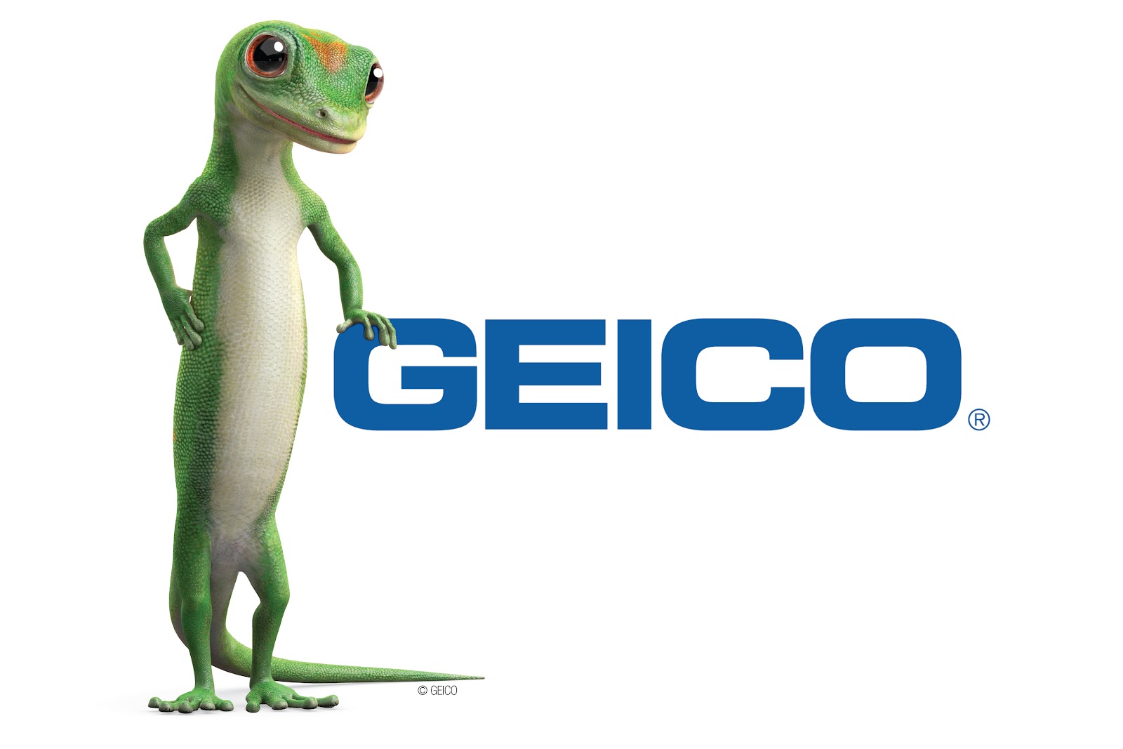GEICO Motorbike Insurance company.