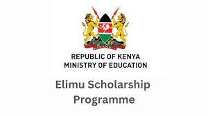 Elimu Scholarship Programme 2024