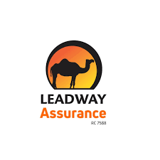 Leadway assurance 2024